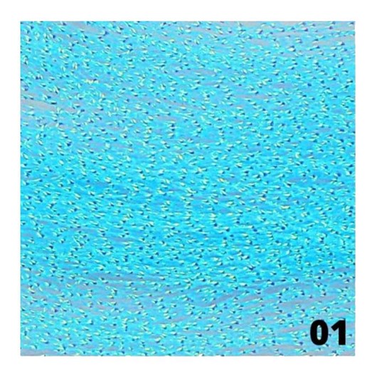 Fibra De Vidro Neon Para Encapsulamento Fan Nails Cor: 01 Azul - Imagem principal - 41ac3ed9-6c3c-4ebc-9b8b-f6e697a91629