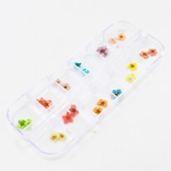 Flores Secas Para Unhas Flores Secas Para Unhas