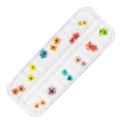 Flores Secas Para Unhas Flores Secas Para Unhas