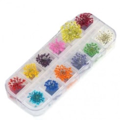 Flores Secas para Unhas P Flores Secas para Unhas P
