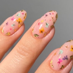 Kit de Flores Secas para Unhas Encapsuladas com 9 Cores Kit de Flores Secas para Unhas Encapsuladas com 9 Cores
