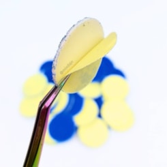 Lixa Refil Para Disco De Pedicure Plantar 25mm Refil #80 Lixa Refil Para Disco De Pedicure Plantar 25mm Refil #80