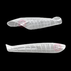 Molde F1 para unhas naturais 120un 19