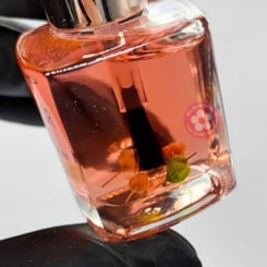 Óleo Hidratante de Cutículas Helen Color 15ml Flores Anvisa Óleo Hidratante de Cutículas Helen Color 15ml Flores Anvisa