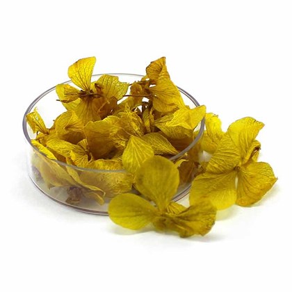Pétalas de Flores Secas - Cor: Amarelo