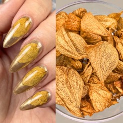 Pétalas de Flores Secas - Cor: Caramelo
