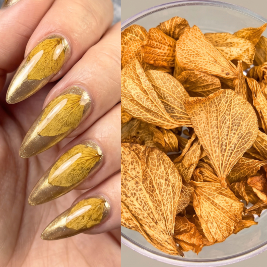 Pétalas de Flores Secas - Cor: Caramelo para unhas