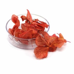 Pétalas de Flores Secas - Cor: Goiaba Pétalas de Flores Secas - Cor: Goiaba