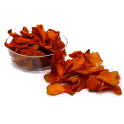 Pétalas de Flores Secas - Cor: Marrom Claro Pétalas de Flores Secas - Cor: Marrom Claro