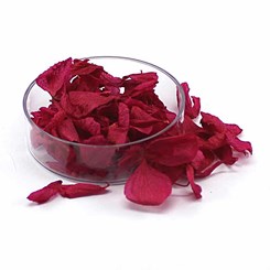 Pétalas de Flores Secas - Cor: Pink