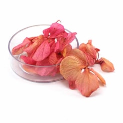 Pétalas de Flores Secas - Cor: Rosa Pétalas de Flores Secas - Cor: Rosa