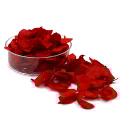 Pétalas de Flores Secas - Cor: Vermelho Pétalas de Flores Secas - Cor: Vermelho
